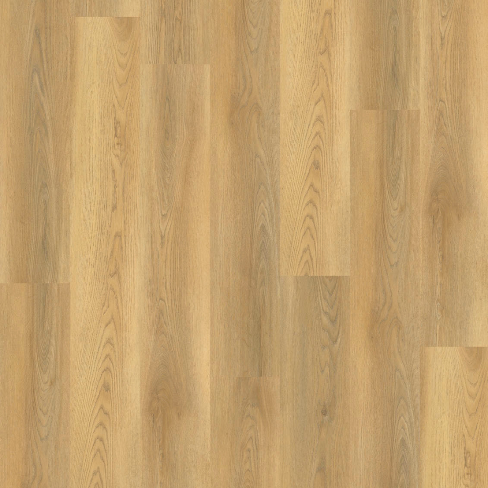 DESIGN 555 5540 Timeless Oak EIR 2,5mm/NS 0,55mm Dryback 