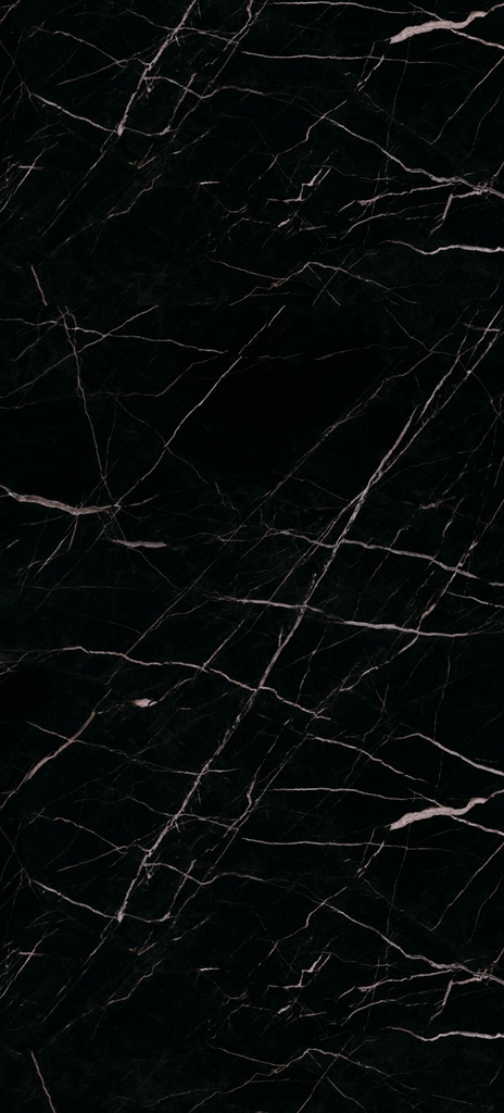 Vilo SPC Paneel 120x265 cm Matt Calacatta Black 0,4 mm 