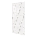 Vilo SPC Paneel 120x265 cm Matt Calacatta White 0,4 mm 