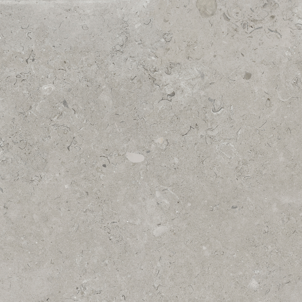60×90 2cm Coralina Perla Matt 