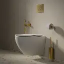 ECO FLUSH SET STRONGFRAME Vorwandelement mit ECO-Spülung für Wand-WC + STEEL-R45 WC-Betätigungsplatte aus Edelstahl Gold gebürstet (GLB) STFWCECO1R45-RGLB