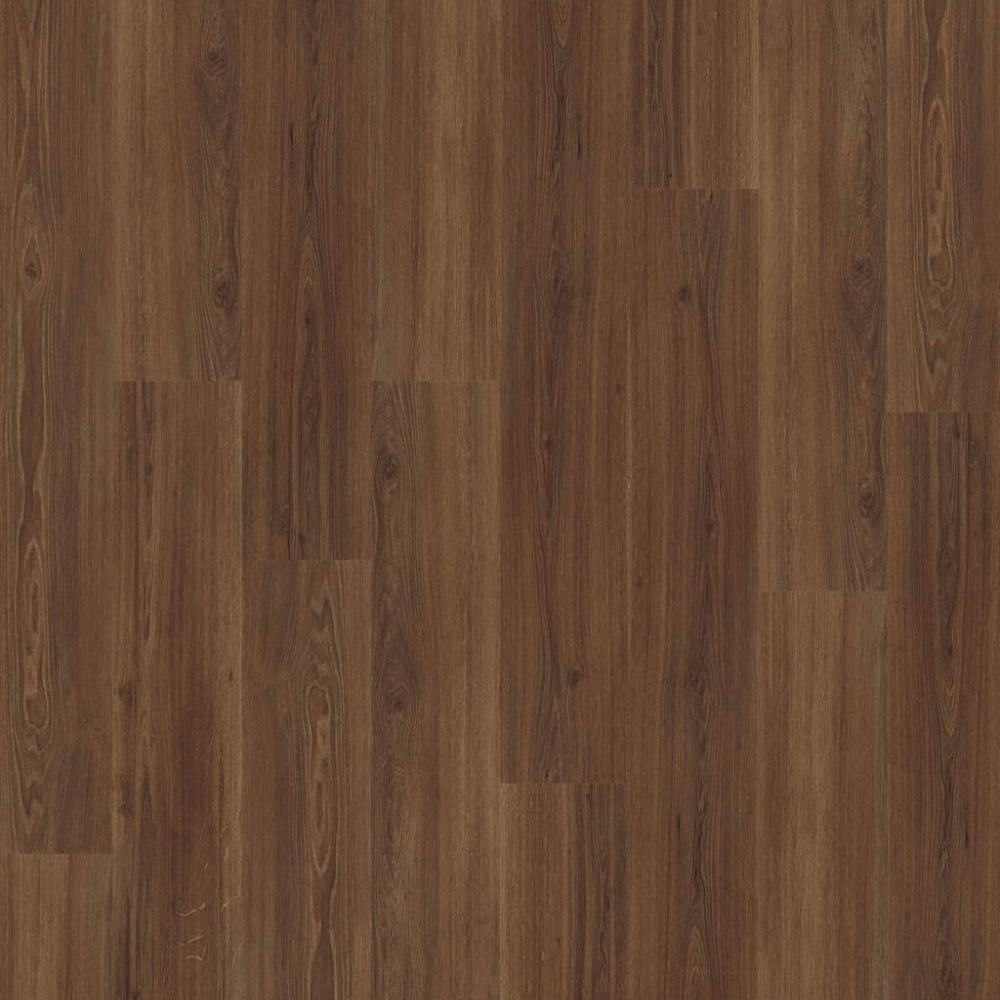DESIGN 555 5209 Incr.Dark Oak  2,5mm/NS 0,55mm Dryback