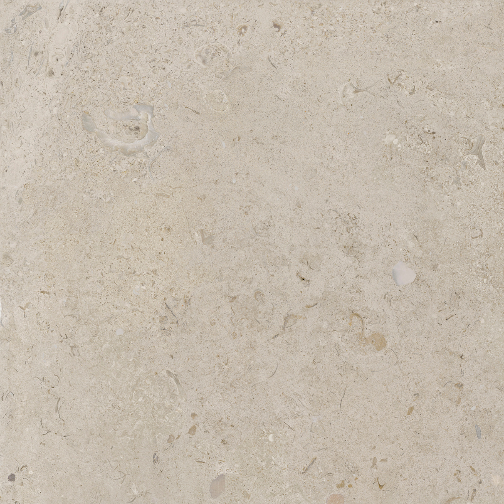 60,5x60,5 2cm Carolina Beige Matt 