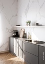  SPC Wandpaneel 90x280x0,5cm White Marble 